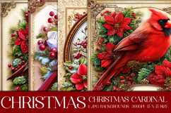 Christmas Background, Christmas Cardinal Bird Backgrounds s4 Product Image 1