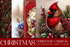 Christmas Background, Christmas Cardinal Bird Backgrounds s5 Product Image 1