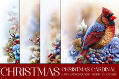Christmas Background, Christmas Cardinal Bird Backgrounds s7 Product Image 1