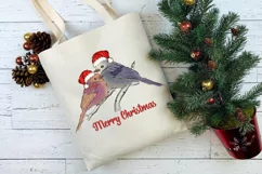 Christmas Bird Png, Christmas Cardinal, Holiday Decor, Christmas Sublimation