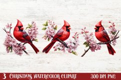 Christmas Cardinal Watercolor Clipart, Christmas Cardinal Product Image 1