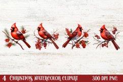 Christmas Cardinal Watercolor Clipart, Christmas Cardinal Product Image 1