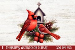 Christmas Cardinal Watercolor Clipart, Christmas Cardinal Product Image 1
