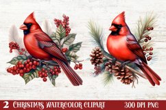 Christmas Cardinal Watercolor Clipart, Christmas Cardinal Product Image 1