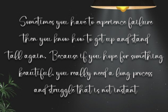 Christmas Catalina Product Image 6