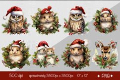 Christmas clipart watercolor Baby forest animals. Xmas clipart product contains 21 designs with watercolor Christmas Owl and Forest Baby Animals. 
