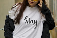 Christmas Cupcake Product Image 2