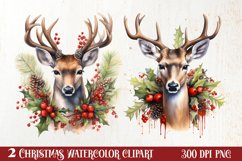 Watercolor Christmas Deer Sublimation Bundle, Christmas Deer Product Image 1