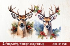 Watercolor Christmas Deer Sublimation Bundle, Christmas Deer Product Image 1