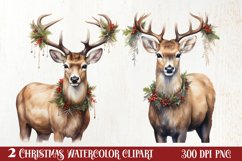 Watercolor Christmas Deer Sublimation Bundle, Christmas Deer Product Image 1