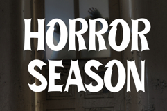 Christmas Display Product Image 3