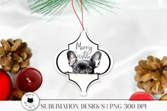 christmas ornament with peeking frenchie