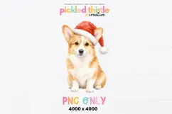 Christmas corgi PNG with a cheerful watercolor dog illustration, warm golden fur, white chest and festive red Santa hat.