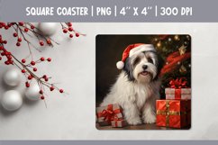 Christmas Dog Square Coaster Sublimation Design|Havanese PNG Product Image 1