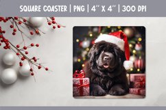 Christmas Dog Square Coaster Sublimation Design|Newfoundland Product Image 1