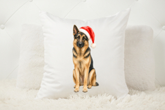 Digital Christmas PNG showing a German Shepherd sitting calmly in a red Santa hat with soft white trim. The detailed pet artwork has a warm, hand-painted appearance.