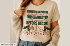 Christmas Express Overnight Delivery Label Personalized PNG Product Image 3