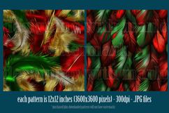 Christmas Patterns, Christmas Feathers Patterns, Holiday, s3 Product Image 2