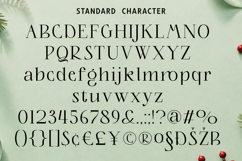 Christmas Font - Family Blessings Product Image 4