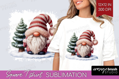 Christmas Gnome Square Tshirt Background - Cute Gnome PNG Product Image 1