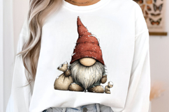 Christmas Gnomes Clipart Product Image 3