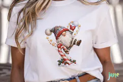 Christmas Gnomes Product Image 5