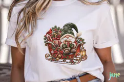Christmas Gnomes Product Image 5