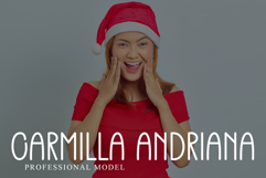Christmas Holiday Product Image 5