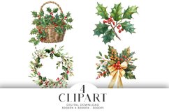 Christmas Holly Clipart Illustrations Watercolor