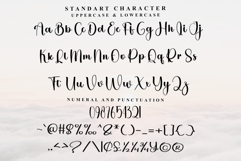 Christmas Honeymoon Product Image 4