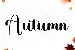 Christmas Honeymoon Product Image 5