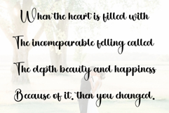 Christmas Honeymoon Product Image 7