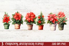 Christmas Houseplants Clipart Sublimation Bundle, Christmas Houseplants Clipart, Christmas Houseplants Clipart Bundle, Christmas Houseplants , Christmas Houseplants Watercolor, Watercolor Christmas Houseplants, Christmas Houseplants Sublimation, Christmas