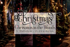 Christmas Backgrounds, 15x15 Christmas in the Woods, Nature Product Image 1