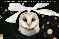 Owl Round Christmas Ornament Sublimation PNG Product Image 1
