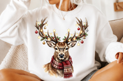 Christmas Ornaments Deer PNG Product Image 2