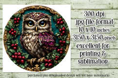 Christmas Wind Spinner, Owl Round Design, Owl Spinner, d19 Product Image 2