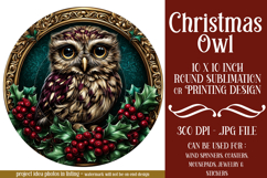 Christmas Wind Spinner, Owl Round Design, Owl Spinner, d20 Product Image 1