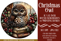 Christmas Wind Spinner, Owl Round Design, Owl Spinner, d23 Product Image 1
