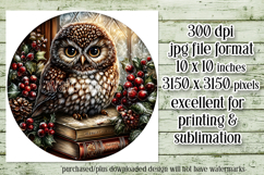 Christmas Wind Spinner, Owl Round Design, Owl Spinner, d23 Product Image 2