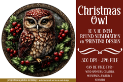 Christmas Wind Spinner, Owl Round Design, Owl Spinner, d25 Product Image 1