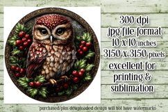 Christmas Wind Spinner, Owl Round Design, Owl Spinner, d25 Product Image 2