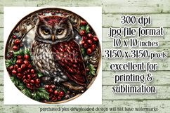 Christmas Wind Spinner, Owl Round Design, Owl Spinner, d26 Product Image 2