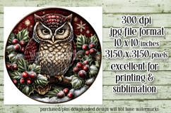 Christmas Wind Spinner, Owl Round Design, Owl Spinner, d27 Product Image 2