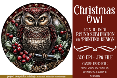 Christmas Wind Spinner, Owl Round Design, Owl Spinner, d28 Product Image 1