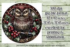 Christmas Wind Spinner, Owl Round Design, Owl Spinner, d28 Product Image 2