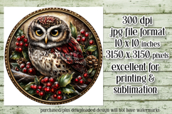 Christmas Wind Spinner, Owl Round Design, Owl Spinner, d3 Product Image 2