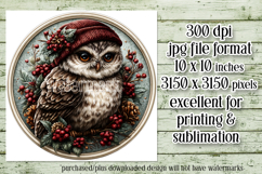 Christmas Wind Spinner, Owl Round Design, Owl Spinner, d30 Product Image 2