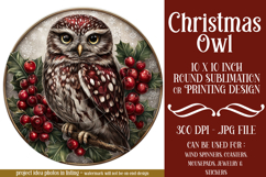 Christmas Wind Spinner, Owl Round Design, Owl Spinner, d32 Product Image 1