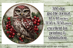 Christmas Wind Spinner, Owl Round Design, Owl Spinner, d32 Product Image 2